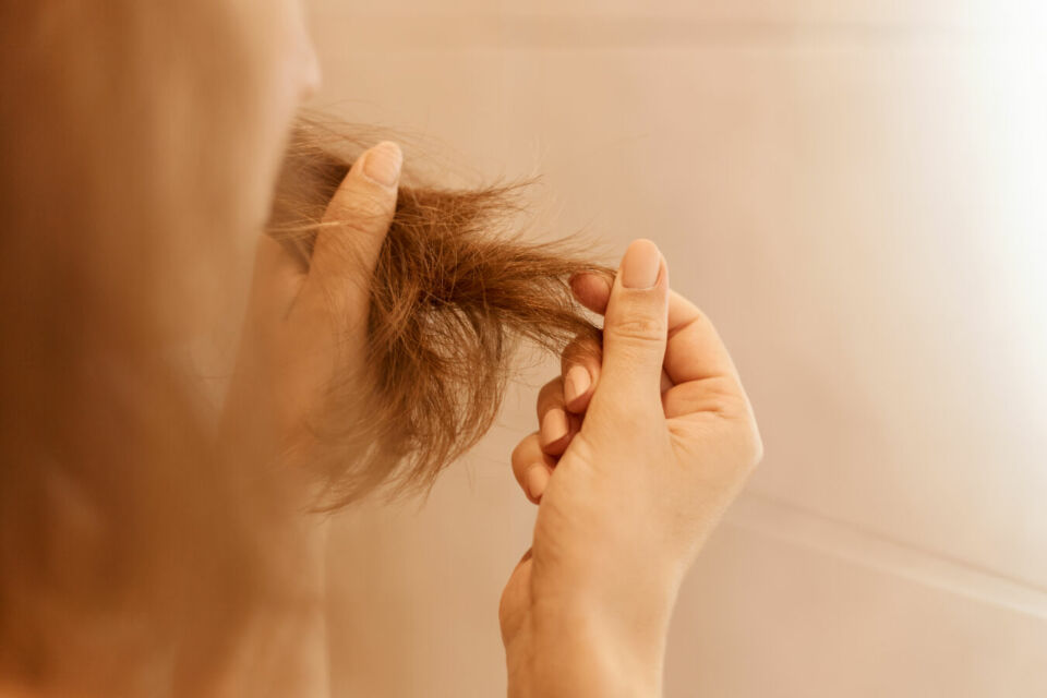 Dry Hair