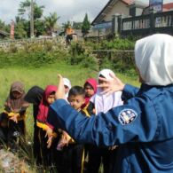 Merangkai Cerita Menyelam Kenangan