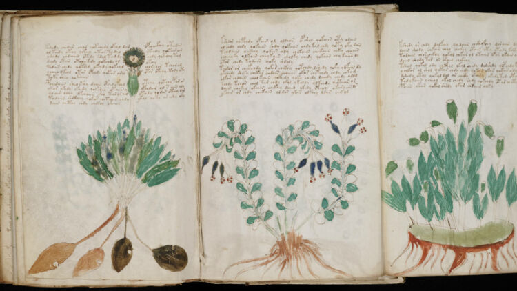 Voynich Manuscript: Misteri Sebuah Naskah yang Belum Terpecahkan