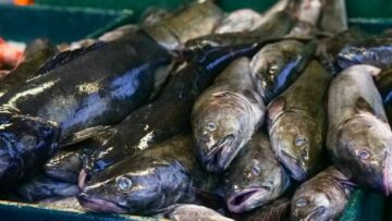 Waspada Keracunan Ikan Laut! Berbeda dengan Alergi Ikan Lho