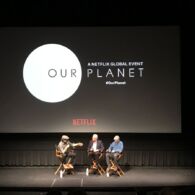 Menyelami Kecantikan Bumi dari Serial Netflix Our Planet