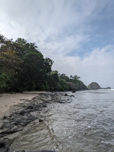 Daftar Tempat Wisata di Garut yang Wajib Diexplore 21 hipwee-Tempat wisata di Garut Cagar Alam Lueweung Sancang