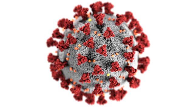 Virus Sars COV 2 dan Saraf Olfaktori