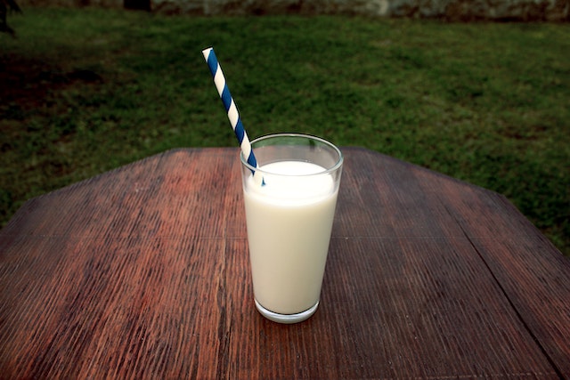 Susu Kambing