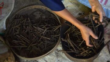 Kuliner Unik Khas Tuban Berbahan Tanah Liat