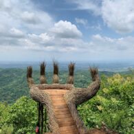 Review Hutan Pinus Pengger