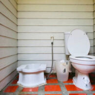 Toilet Duduk Kurang Sehat, Lantas Mengapa Diminati?