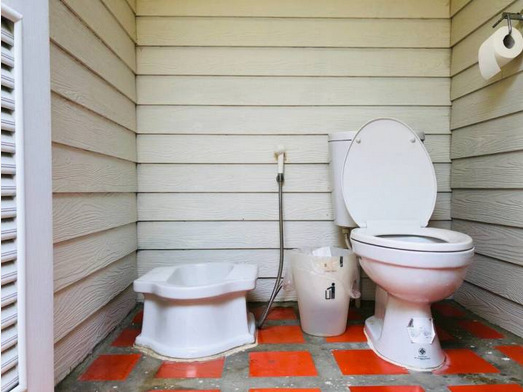 Toilet Duduk Kurang Sehat, Lantas Mengapa Diminati?