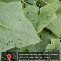 5 Alasan Jurusan Agribisnis Pertanian Harus Dipilih