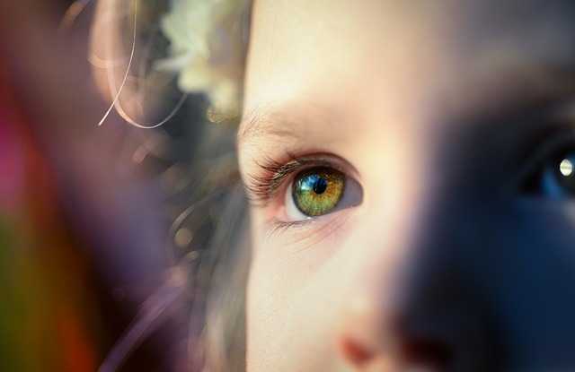 Image by Rudy and Peter Skitterians from Pixabay