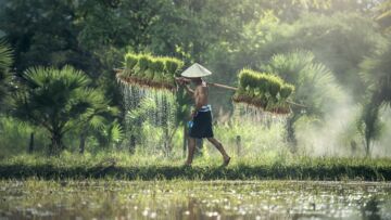 Anak Seorang Petani Kok Jadi Mahasiswa Pertanian, Berikut Ini Jawaban yang Harus Diungkap Mahasiswa