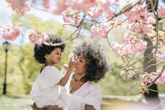 Foto oleh Barbara Olsen on Pexels