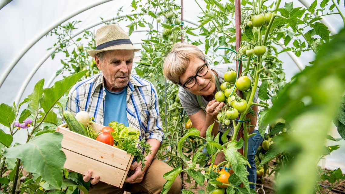 15 Contoh Obrolan Saat Ketemu Calon Mertua, Biar Akrab 27 hipwee-gardening