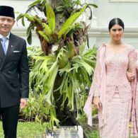 Potret Pohon Kenari “Aira”, Pohon yang Ditanam Ani Yudhoyono di Istana Kepresiden Saat Cucunya Lahir