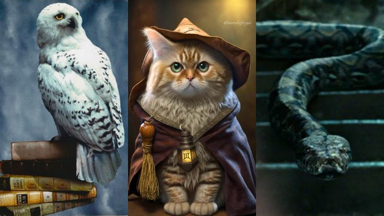 Tes Asrama Harry Potter, Kamu Masuk Gryffindor, Ravenclaw, Hufflepuff, atau Syltherin?