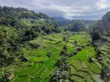 10 Tempat Wisata Hits di Karawang yang Bagus Banget buat Dikunjungi!