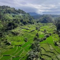 10 Tempat Wisata Hits di Karawang yang Bagus Banget buat Dikunjungi!