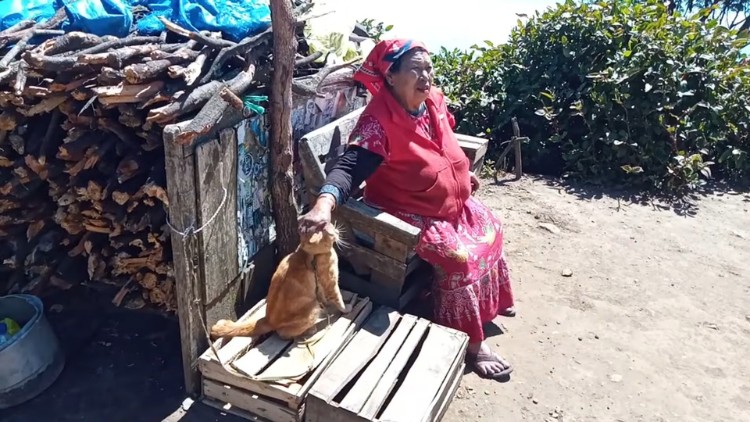 Kabar Duka dari Gunung Lawu, Penjual Warung Pecel Legendaris Mbok Yem Meninggal Dunia
