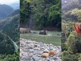 5 Aktivitas Keren yang Bisa Kamu Lakukan di Kabupaten Langkat