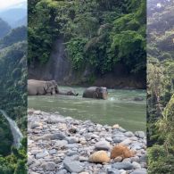 5 Aktivitas Keren yang Bisa Kamu Lakukan di Kabupaten Langkat