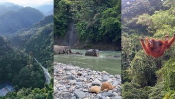 5 Aktivitas Keren yang Bisa Kamu Lakukan di Kabupaten Langkat