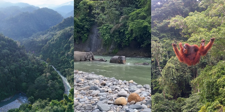 5 Aktivitas Keren yang Bisa Kamu Lakukan di Kabupaten Langkat