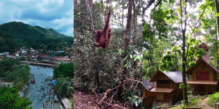 bukit lawang