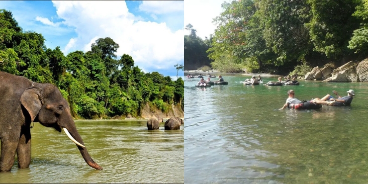 tangkahan