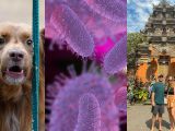Rabies di Bali Naik, Ini Pertolongan Pertama untuk Rabies yang Wajib Kamu Tahu!