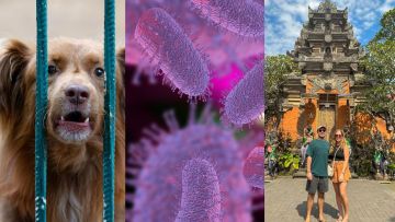 Rabies di Bali Naik, Ini Pertolongan Pertama untuk Rabies yang Wajib Kamu Tahu! 20 pertolongan pertama untuk rabies