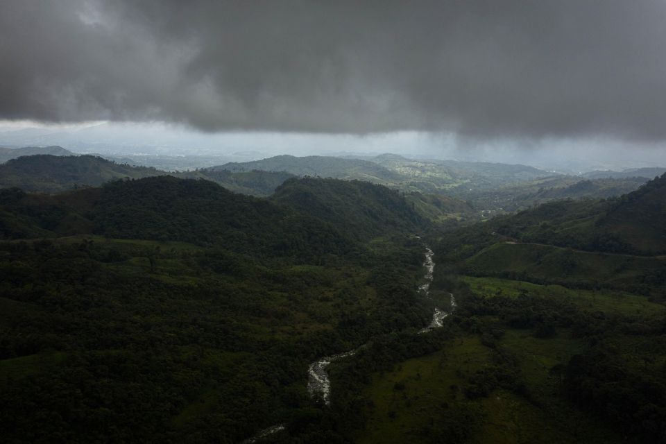 fakta menarik hutan amazon