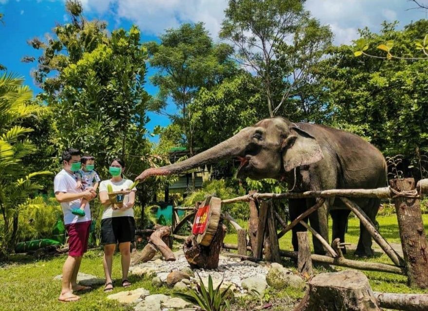 gembira loka zoo jogja