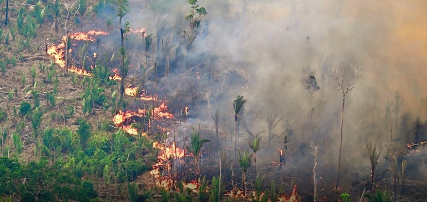kebakaran hutan amazon