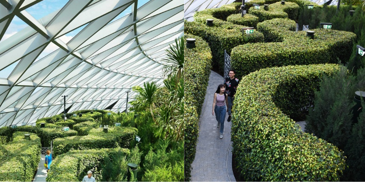 6 Tempat Menarik di Jewel Changi Singapore yang Wajib Kamu Kunjungi 14 Hedge Maze changi singapore