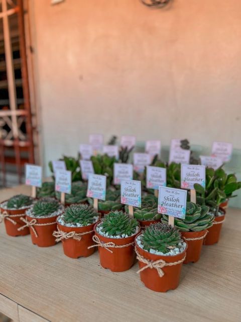 mitos souvenir pernikahan-tanaman