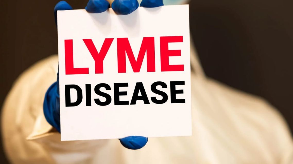 kesadaran akan penyakit lyme disease