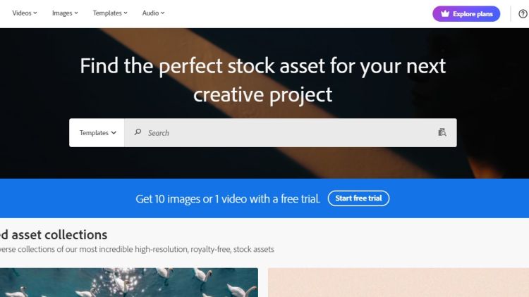 adobe stock contributor