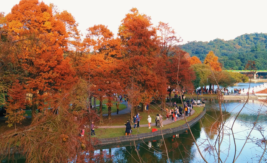 4 Waktu Terbaik untuk Liburan ke Taiwan, Mana Pilihanmu?