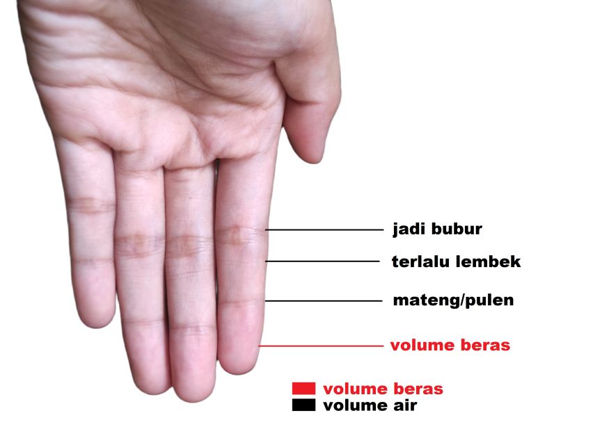 5 Cara Masak Nasi biar Matang Sempurna: Pemula, Anak Kos, & Anak Perantauan Merapat!