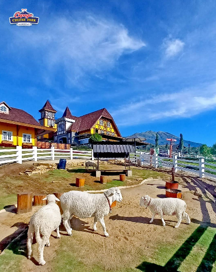 7 Tempat Wisata Boyolali Terbaru yang Instagrammable