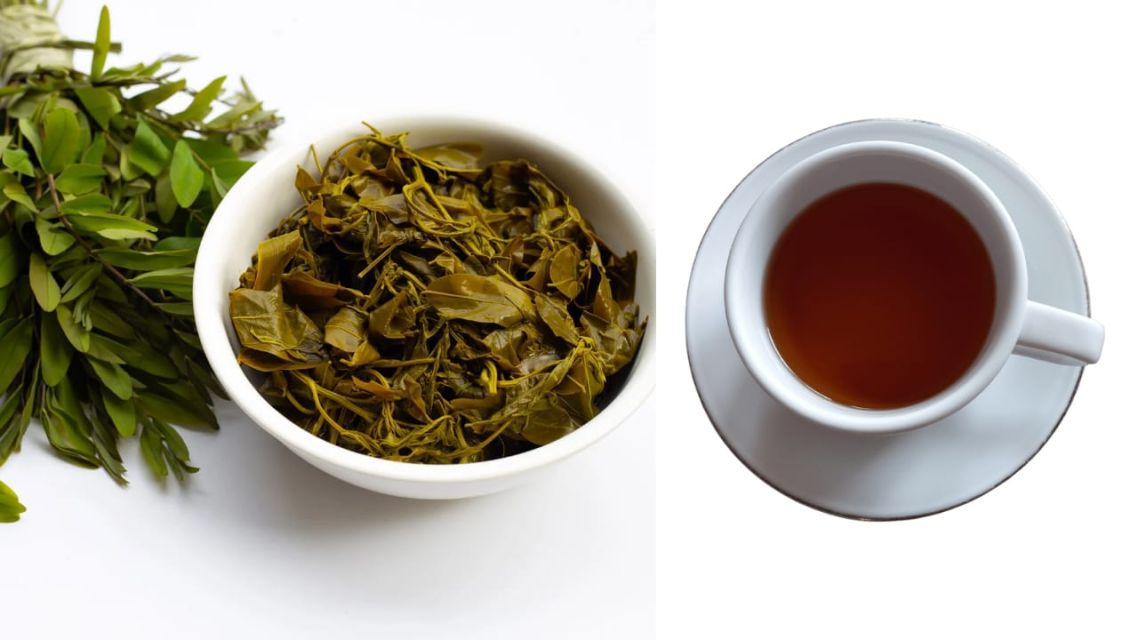 8 Ramuan Minuman Herbal Penurun Berat Badan yang Efektif & Aman untuk Perut Lebih Ramping 22 Teh daun senna
