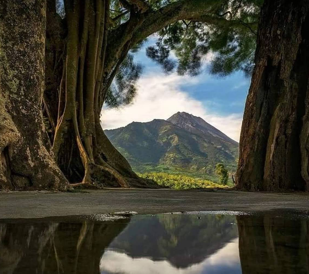 7 Tempat Wisata Boyolali Terbaru yang Instagrammable