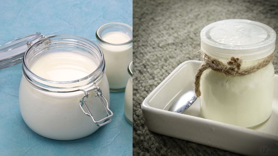 Cara Membuat Yogurt Sendiri, Hanya Butuh 2 Bahan Ini!
