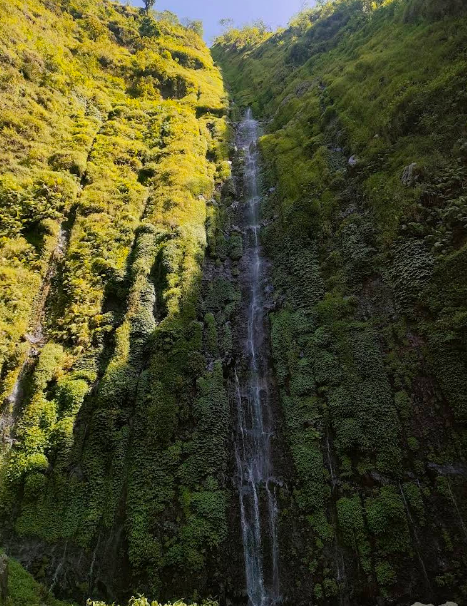 7 Tempat Wisata Boyolali Terbaru yang Instagrammable