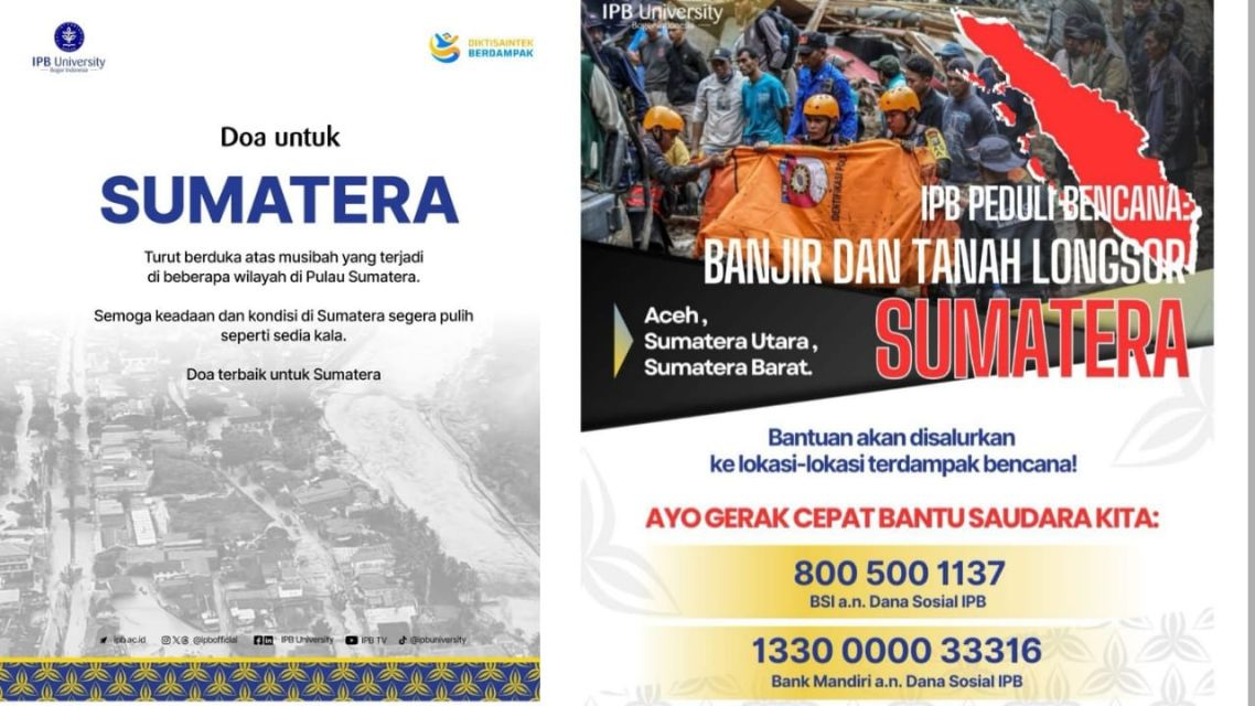 Lembaga Terpercaya Donasi Sumatra Darurat Bencana: 13 Rekomendasi Paling Kredibel untuk Berdonasi dan Terbukti Menyalurkan Bantuan 24 IPB