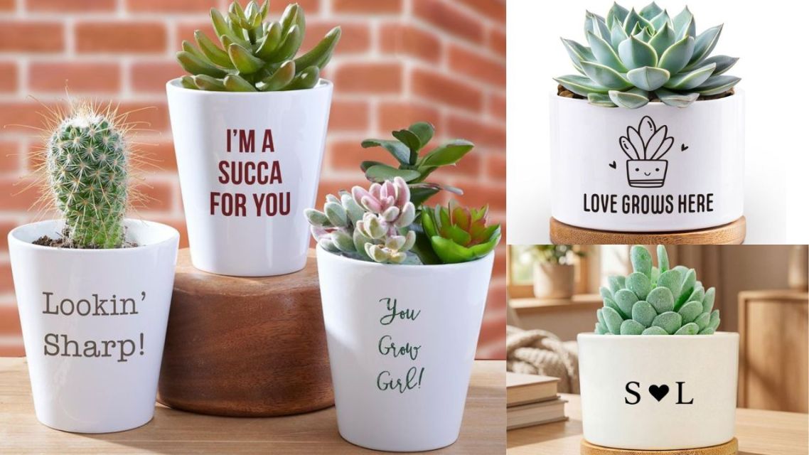 15 Ide Kado Valentine Out of the Box, dari yang Sederhana, Berkesan hingga Membuat Momen Valentine Lebih Personal 27 Tanaman Mini dengan Pot Bertuliskan Pesan Personal