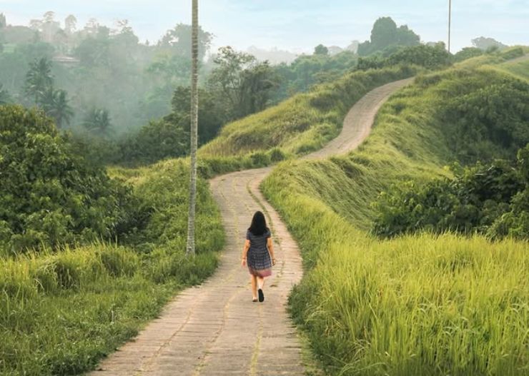 6 Tempat Wisata di Ubud Bali Paling Worth Visiting 7 campuhan ridge walk bali