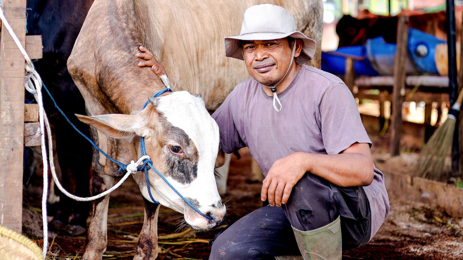 10 Ciri Sapi yang Sehat untuk Kurban, Biar Nggak Cuma Modal Feeling 17 hipwee-sapi kurban (1)