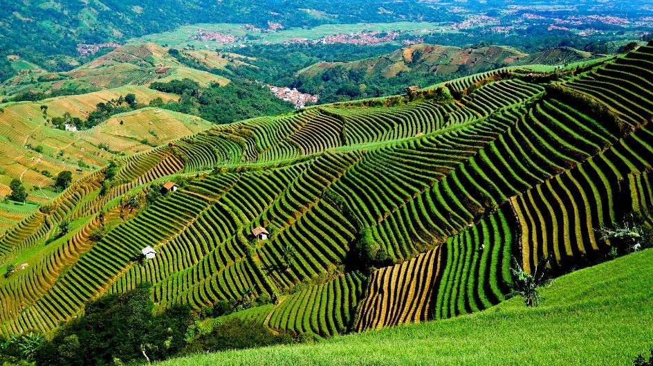 9 Tempat Wisata di Majalengka yang Pas buat Healing! 10