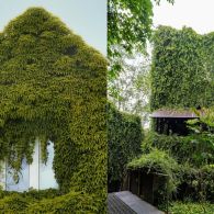 5 Cara Jaga Rumah Tetap Sejuk Tanpa AC Saat Cuaca Panas, Bikin Betah!